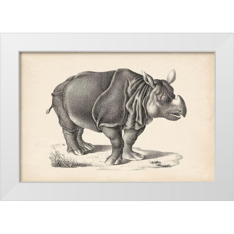 Brodtmann Rhinoceros White Modern Wood Framed Art Print by Brodtmann