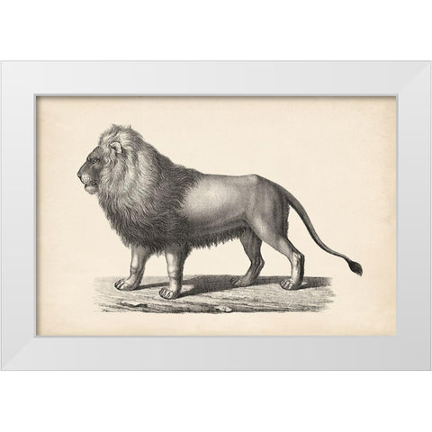 Brodtmann Lion White Modern Wood Framed Art Print by Brodtmann
