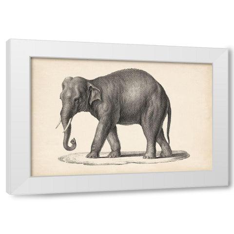 Brodtmann Elephant White Modern Wood Framed Art Print by Brodtmann