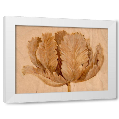 Sepia Tulip on Birch II White Modern Wood Framed Art Print by OToole, Tim