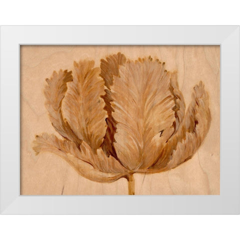 Sepia Tulip on Birch II White Modern Wood Framed Art Print by OToole, Tim