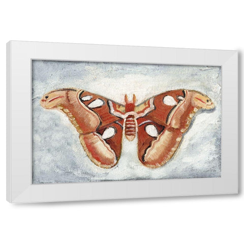 Papillon de Nuit I White Modern Wood Framed Art Print by Ludwig, Alicia