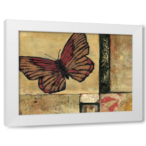 Butterfly in Border I White Modern Wood Framed Art Print by Bagnato, Judi