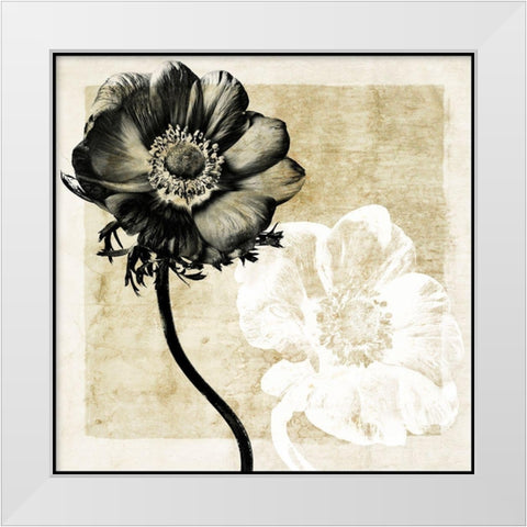 Light From Darkness II White Modern Wood Framed Art Print by Zalewski, Christine