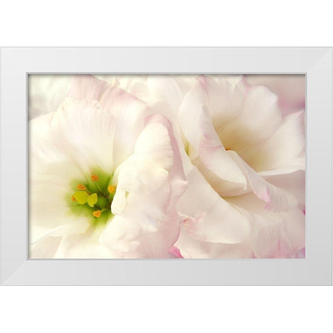 Pink Blossoms I White Modern Wood Framed Art Print by Zalewski, Christine