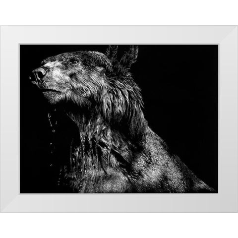 Ursa Major White Modern Wood Framed Art Print by Chapman, Julie T.