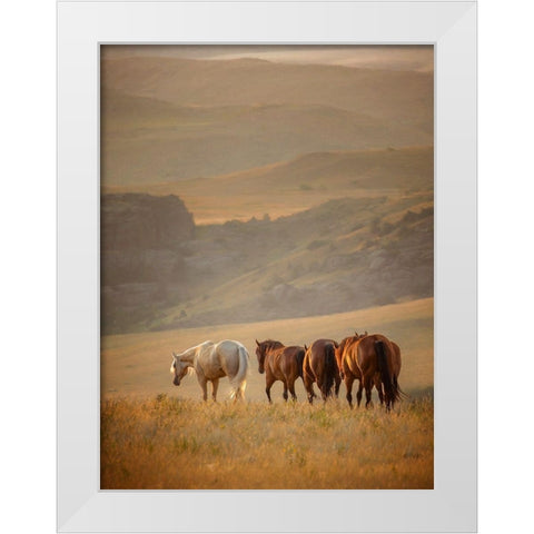 Sunkissed Horses VI White Modern Wood Framed Art Print by PHBurchett