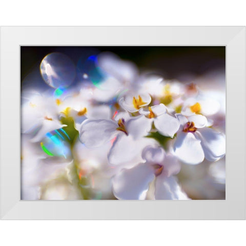 Jewels of the Enchanted Forest I White Modern Wood Framed Art Print by Hunt, Gillian