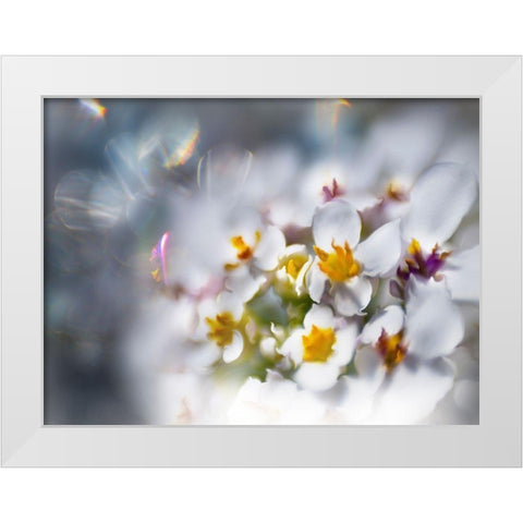 Jewels of the Enchanted Forest IV White Modern Wood Framed Art Print by Hunt, Gillian