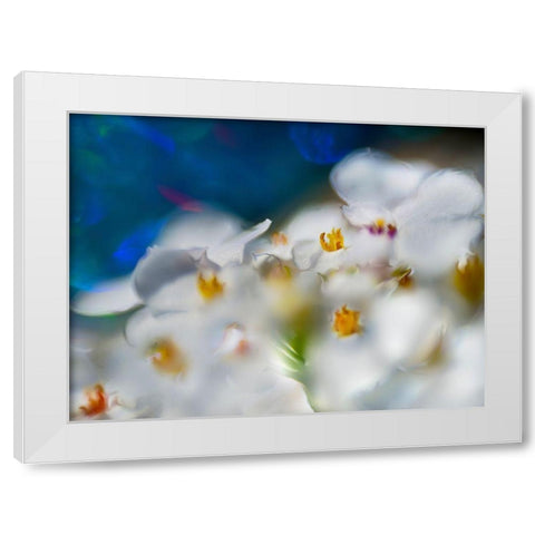 Jewels of the Enchanted Forest V White Modern Wood Framed Art Print by Hunt, Gillian