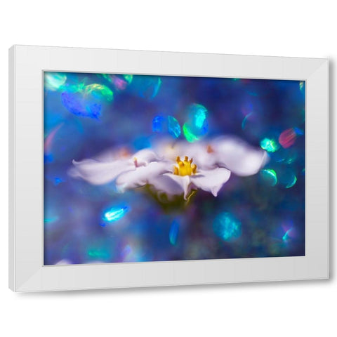 Jewels of the Enchanted Forest VI White Modern Wood Framed Art Print by Hunt, Gillian