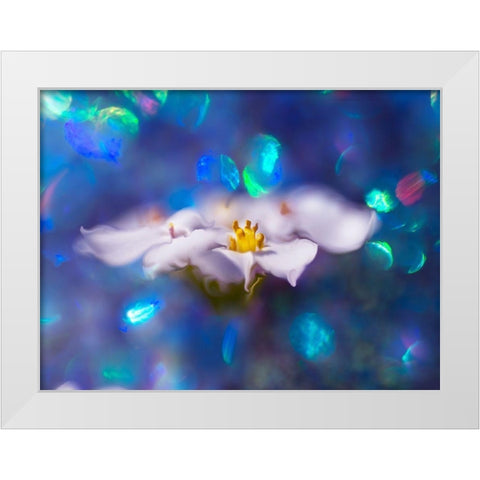 Jewels of the Enchanted Forest VI White Modern Wood Framed Art Print by Hunt, Gillian