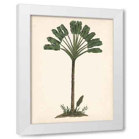 Palm Tree Study I White Modern Wood Framed Art Print by Wang, Melissa