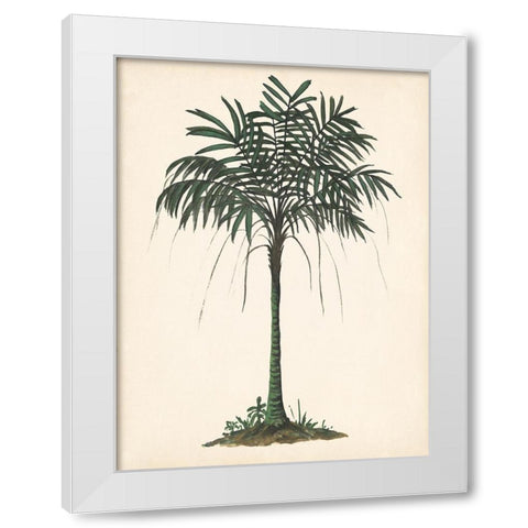 Palm Tree Study II White Modern Wood Framed Art Print by Wang, Melissa