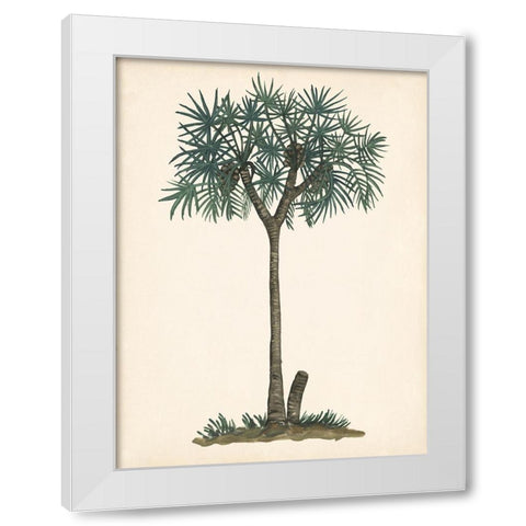 Palm Tree Study III White Modern Wood Framed Art Print by Wang, Melissa