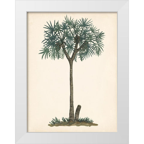 Palm Tree Study III White Modern Wood Framed Art Print by Wang, Melissa