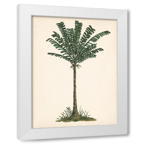 Palm Tree Study IV White Modern Wood Framed Art Print by Wang, Melissa