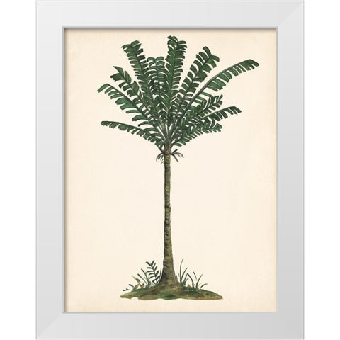 Palm Tree Study IV White Modern Wood Framed Art Print by Wang, Melissa