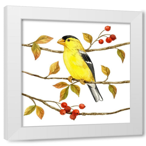 Birds and Berries II White Modern Wood Framed Art Print by Maday, Jane