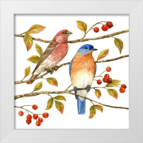 Birds and Berries IV White Modern Wood Framed Art Print by Maday, Jane