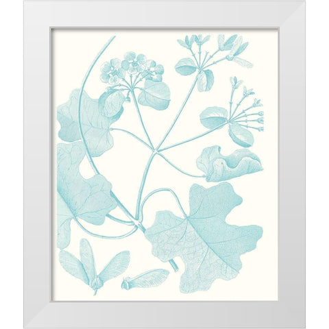 Botanical Study in Spa II White Modern Wood Framed Art Print by Vision Studio