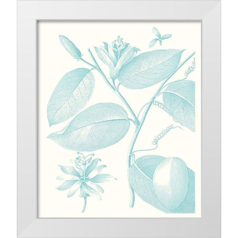 Botanical Study in Spa III White Modern Wood Framed Art Print by Vision Studio