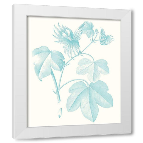 Botanical Study in Spa IV White Modern Wood Framed Art Print by Vision Studio