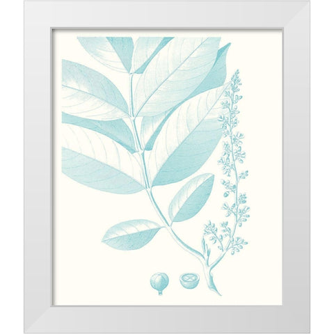 Botanical Study in Spa VI White Modern Wood Framed Art Print by Vision Studio