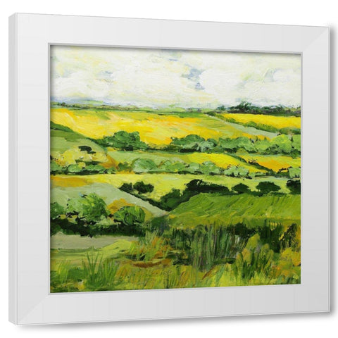 Woolton White Modern Wood Framed Art Print by Friedlander, Allan