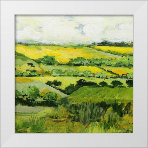Woolton White Modern Wood Framed Art Print by Friedlander, Allan