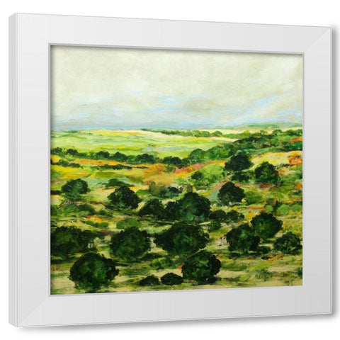 Broom Croft White Modern Wood Framed Art Print by Friedlander, Allan