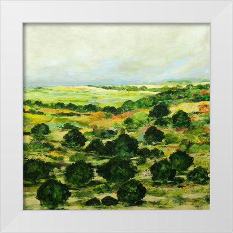 Broom Croft White Modern Wood Framed Art Print by Friedlander, Allan