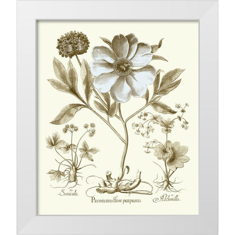 Spa Peonies II White Modern Wood Framed Art Print by Besler, Basilius