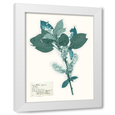 Pressed Flowers in Spa I White Modern Wood Framed Art Print by Vision Studio