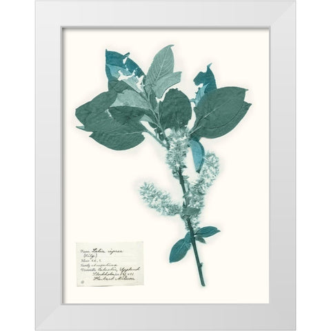 Pressed Flowers in Spa I White Modern Wood Framed Art Print by Vision Studio