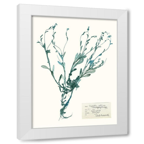 Pressed Flowers in Spa II White Modern Wood Framed Art Print by Vision Studio