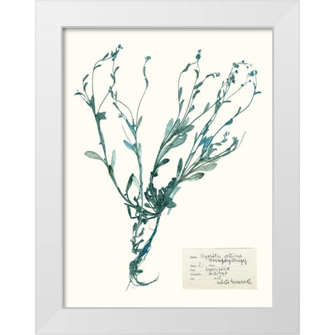 Pressed Flowers in Spa II White Modern Wood Framed Art Print by Vision Studio