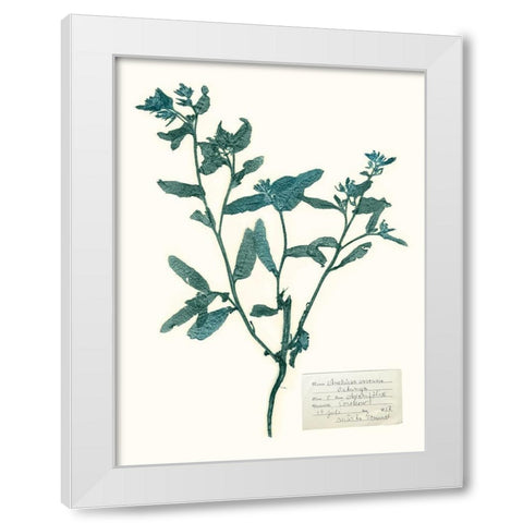 Pressed Flowers in Spa III White Modern Wood Framed Art Print by Vision Studio