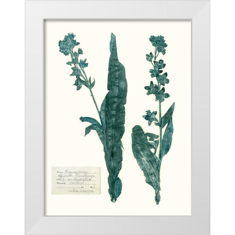 Pressed Flowers in Spa IV White Modern Wood Framed Art Print by Vision Studio