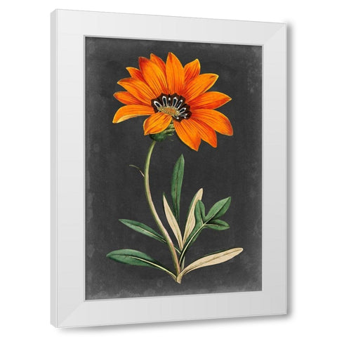 Dramatic Floral I White Modern Wood Framed Art Print by Curtis