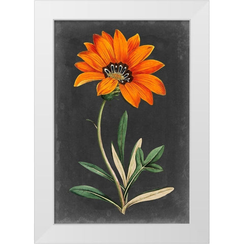 Dramatic Floral I White Modern Wood Framed Art Print by Curtis