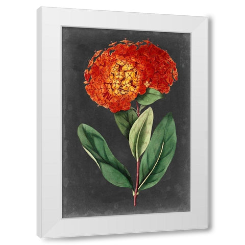 Dramatic Floral II White Modern Wood Framed Art Print by Curtis