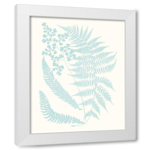 Serene Ferns II White Modern Wood Framed Art Print by Vision Studio