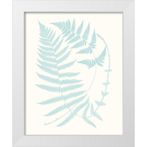 Serene Ferns III White Modern Wood Framed Art Print by Vision Studio