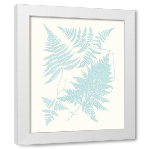 Serene Ferns IV White Modern Wood Framed Art Print by Vision Studio