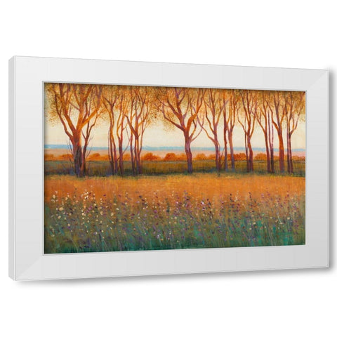 Glow in the Afternoon I White Modern Wood Framed Art Print by OToole, Tim