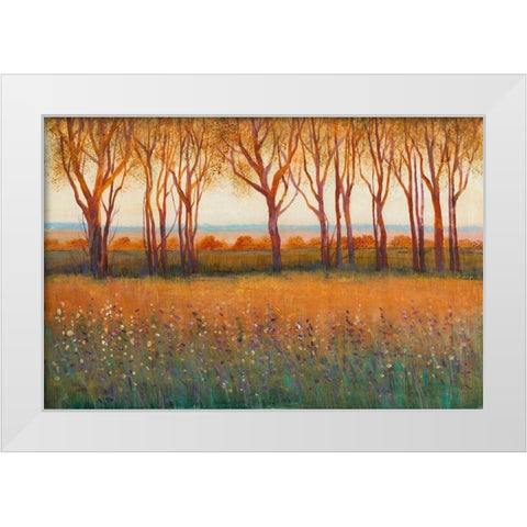 Glow in the Afternoon I White Modern Wood Framed Art Print by OToole, Tim