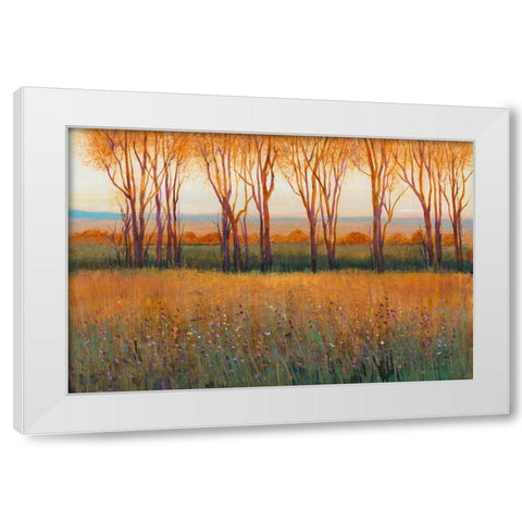 Glow in the Afternoon II White Modern Wood Framed Art Print by OToole, Tim