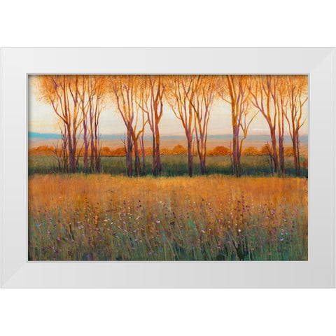 Glow in the Afternoon II White Modern Wood Framed Art Print by OToole, Tim