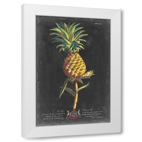 Dramatic Royal Botanical II White Modern Wood Framed Art Print by Ehret, George